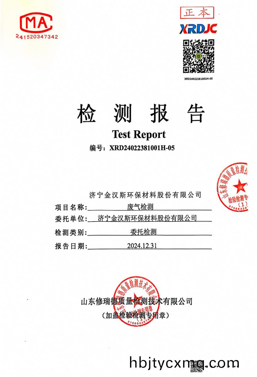 检测报告（2024.12.31）